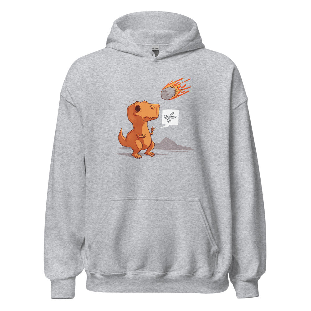 hoodie - Sport Grey
